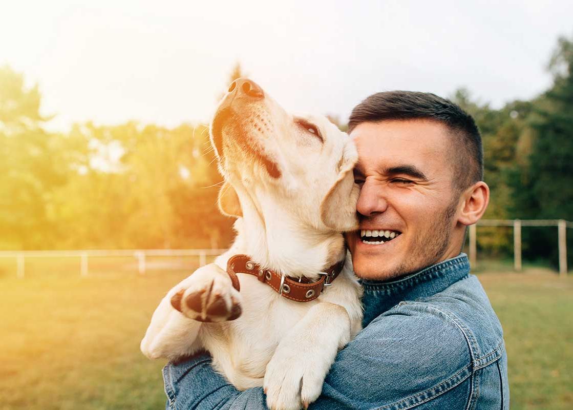 happy-dog