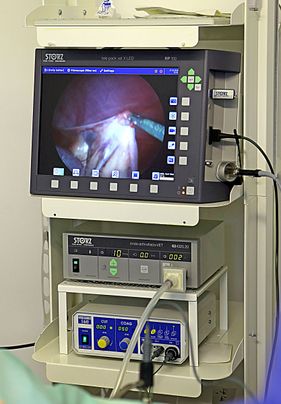Willow Veterinary Clinic - Key Hole Surgery