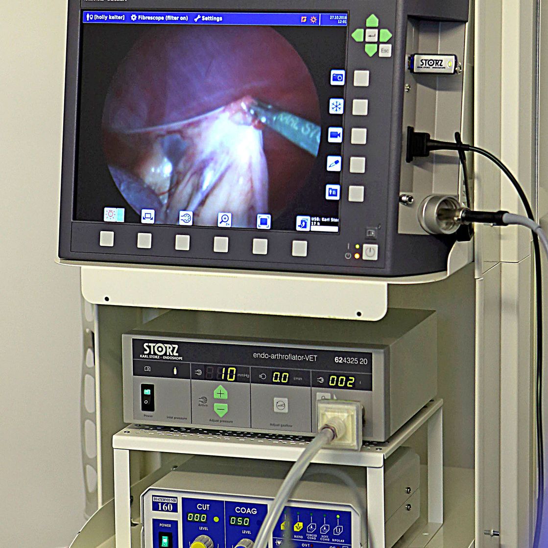 Willow Veterinary Clinic - Key Hole Surgery