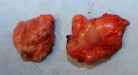 Willow Veterinary Clinic - Key Hole Surgery