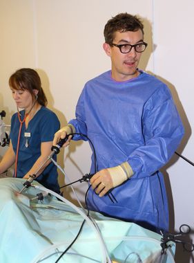 Willow Veterinary Clinic - Key Hole Surgery