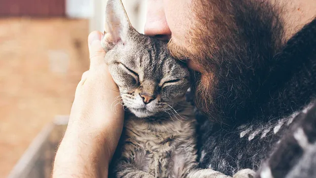 man-kissing-pet-cat