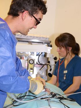 Willow Veterinary Clinic - Key Hole Surgery