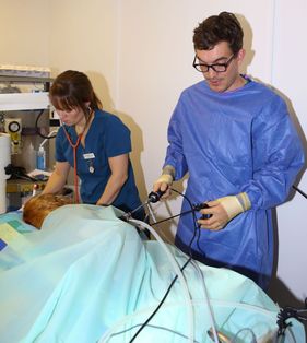 Willow Veterinary Clinic - Key Hole Surgery