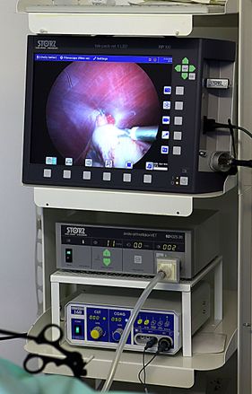 Willow Veterinary Clinic - Key Hole Surgery