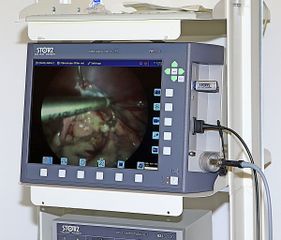 Willow Veterinary Clinic - Key Hole Surgery