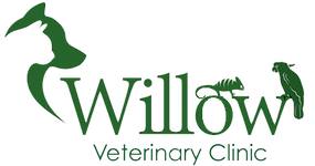 willow-logo-header
