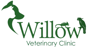 willow-logo-header
